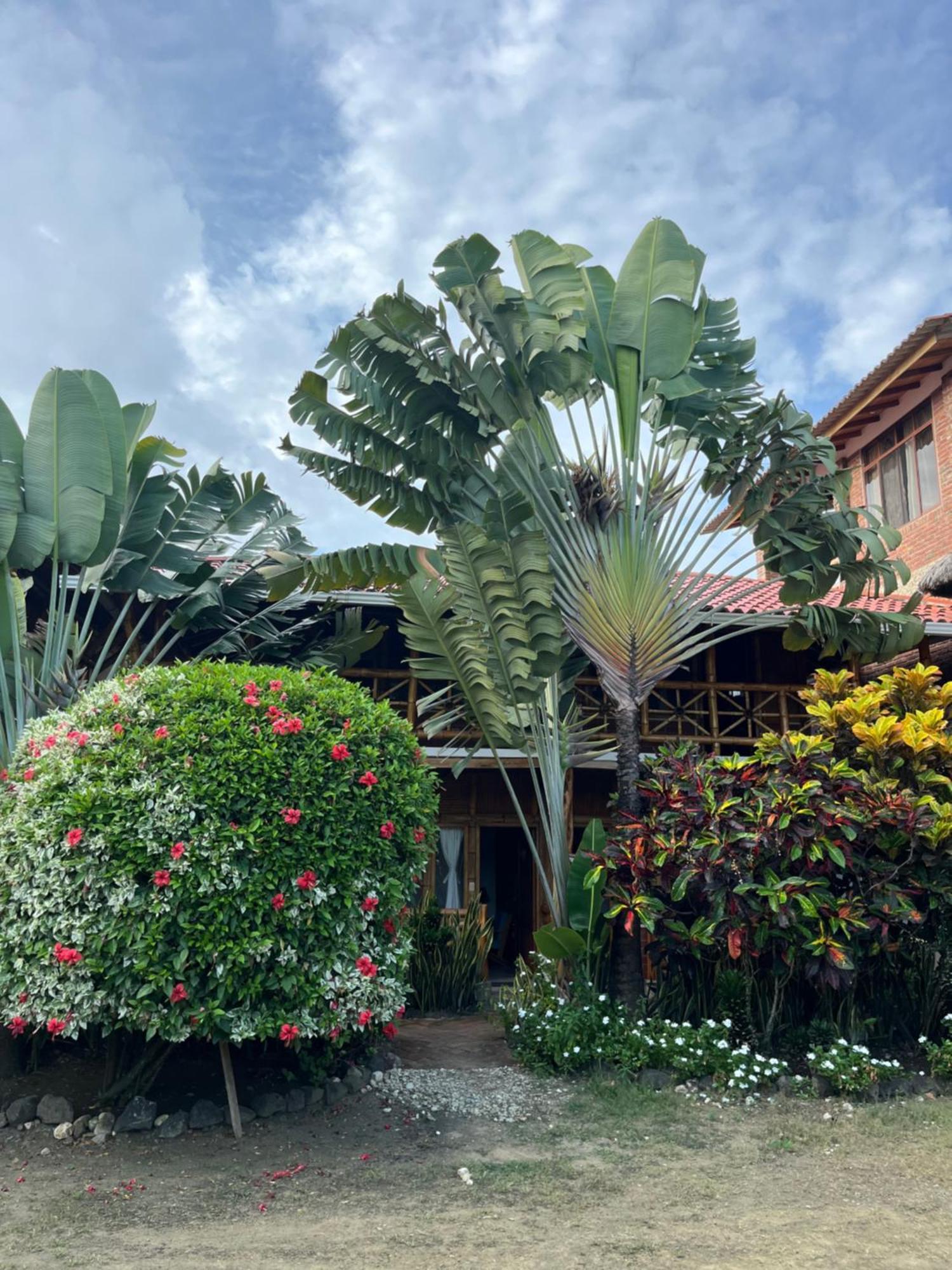 Victor Hugo Hotel Puerto López المظهر الخارجي الصورة